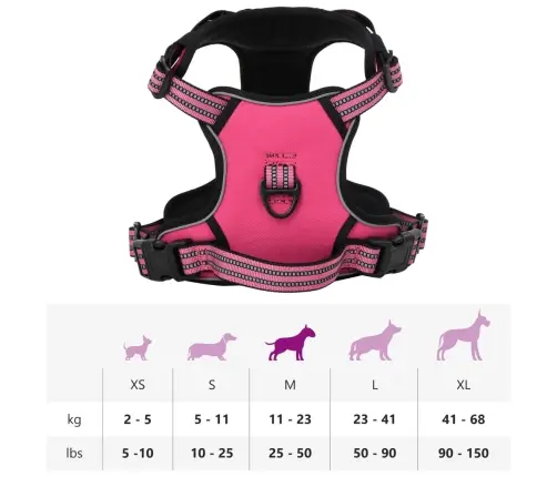 Koerarakmed Helkurribadega, Reguleeritav, Roosa M