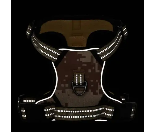 Šunų Petnešos Su Šviesą Atspindinčiomis Juostelėmis, Rudas, L