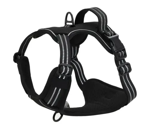 Diržai Šunims Su Atspindinčiomis Juostelėmis, Juodi, Xl