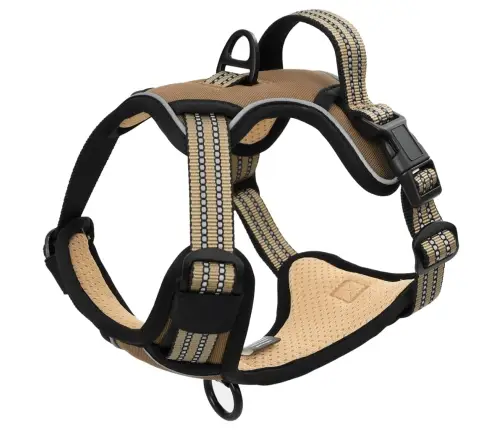 Diržai Šunims Su Atspindinčiomis Juostelėmis, Rudas, Xl