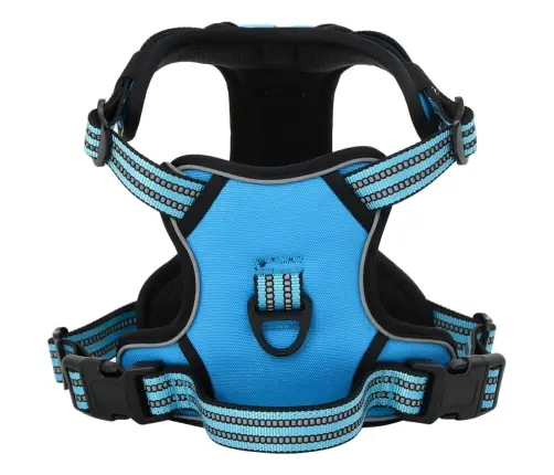 Koera Traksid Rihma Ja Kaelarihmaga, Reguleeritav, Sinine M