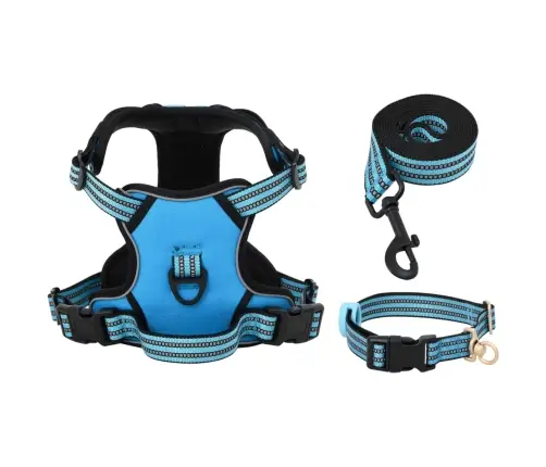 Koera Traksid Rihma Ja Kaelarihmaga, Reguleeritav, Sinine M