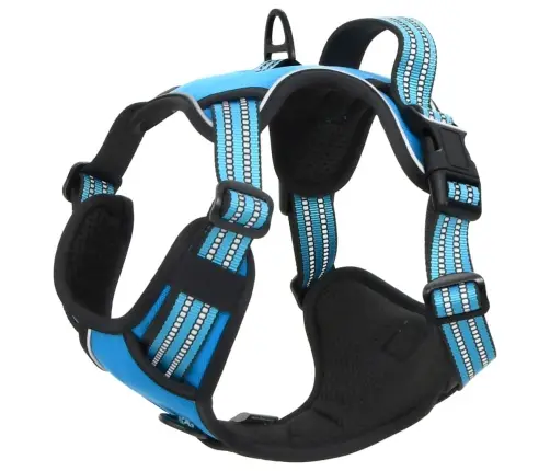 Koera Traksid Rihma Ja Kaelarihmaga, Reguleeritav, Sinine M