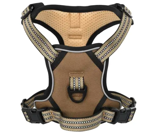 Suņu Siksnas Ar Pavadu Un Kakla Siksnu, Regulējamas, Brūnas, M Vidaxl