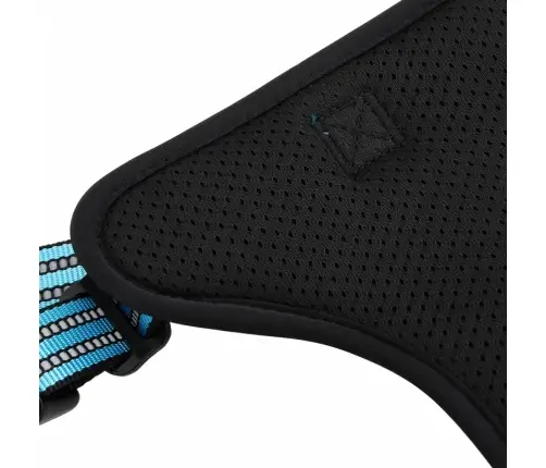 Suņu Siksnas Ar Pavadu Un Kakla Siksnu, Regulējamas, Zilas, L Vidaxl