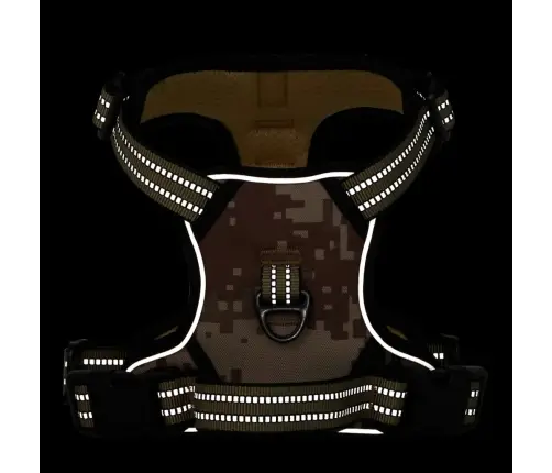 Suņu Siksnas Ar Pavadu Un Kakla Siksnu, Regulējamas, Brūnas, L Vidaxl