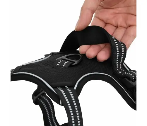 Suņu Siksnas Ar Pavadu Un Kakla Siksnu, Regulējamas, Melnas, Xl Vidaxl