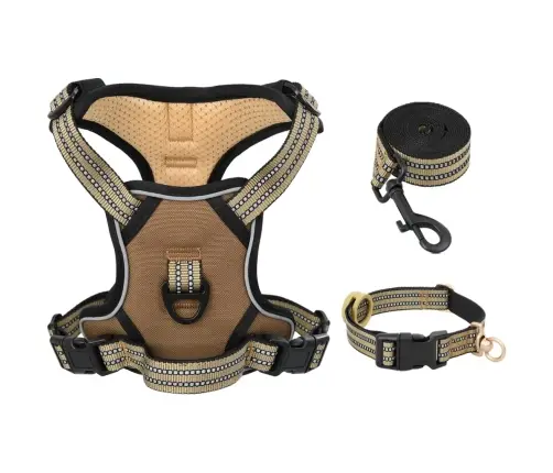 Suņu Siksnas Ar Pavadu Un Kakla Siksnu, Regulējamas, Brūnas, Xl Vidaxl