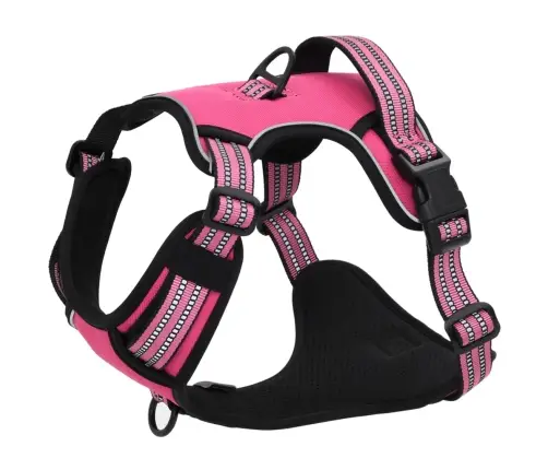 Suņu Siksnas Ar Pavadu Un Kakla Siksnu, Regulējamas, Rozā, Xl Vidaxl