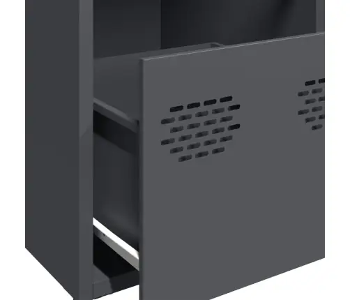 Šoninė Spintelė, Antracito, 101,5X39X73,5cm Plienas