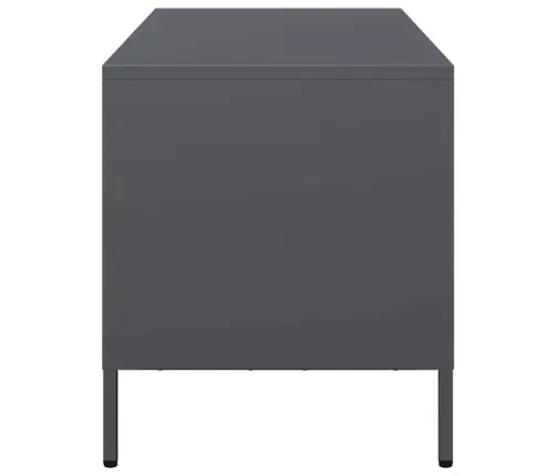 Tv Skapītis, Pelēks, 101,5X39X43,5 Cm, Auksti Velmēts Tērauds Vidaxl