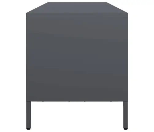 Televizoriaus Spintelė, Antracito, 135X39X43,5cm Plienas