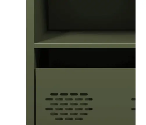 Indauja Alyvuogių Žalia 35X39X73,5 Cm Šaltai Valcuotas Plienas