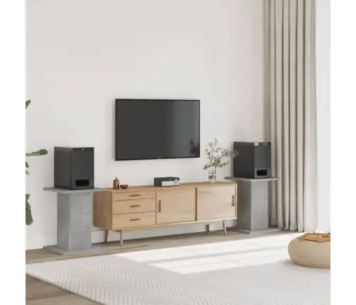 Kõlarialused 2 Tk, Betoonhall, 30 X 30 X 60 cm Tehispuit