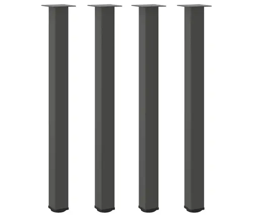 Baarilaua Jalad 4 Tk, Antratsiithall, 110–112 cm Teras