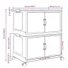 Saliekama Glabāšanas Kaste Ar Riteņiem 2 Līmeņu 75 L 64X40X76Cm Vidaxl