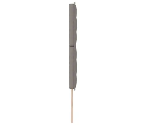 Led Gultas Galva Ar Galvas Klāju Pelēkbrūna 200 Cm Poliesters Vidaxl