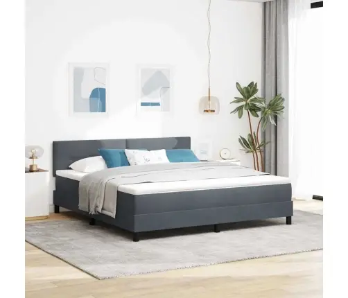 Kastītes Atsperu Gulta Tumši Pelēks 180 X 200 Cm Samts Vidaxl