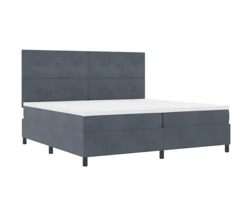 Kaste Pavasara Gulta Ar Matraci Tumši Pelēka 200X200 Cm Samts Vidaxl