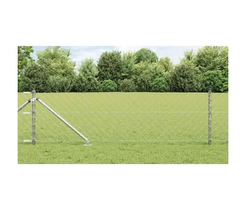 Tvorelės Stulpas Sidabro 25 X 0,8 M (60 X 60 Mm Tinklas)