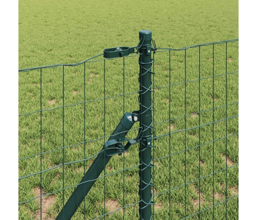 Eiro Žogs Ar 13 Stabiem 0.6X25 M Cinkots Tērauds Zaļš Vidaxl