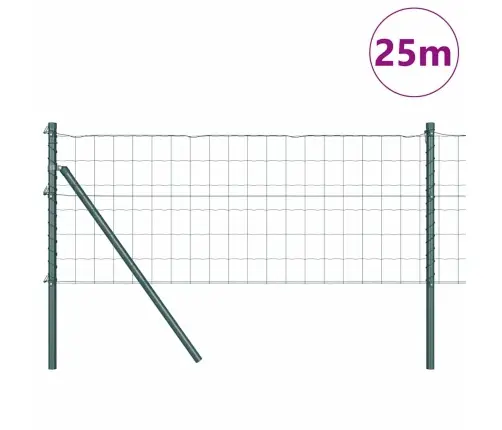 Eiro Žogs Ar 13 Statņiem 0.6X25 M Cinkota Tērauda Zaļš Vidaxl