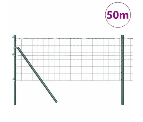 Eiropas Žogs Ar 13 Balstiem 0.6X50 M Cinkota Tērauda Zaļais Vidaxl