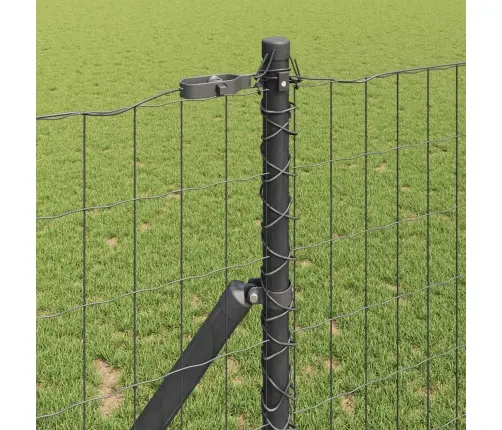 Euro Fence Ar 7 Stabiem 1X10 M Cinkota Tērauda Pelēks Vidaxl