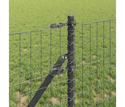 Eiro Žogs Ar 13 Stabiem 0.6X25 M Tērauda Pelēkā Krāsā Vidaxl