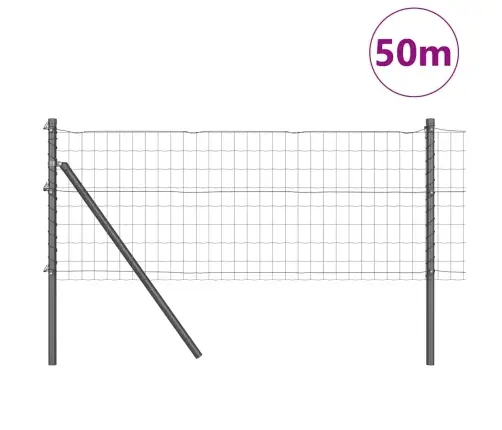 Eiro Žogs Ar 13 Stabiem 0.6X50 M Cinkota Tērauda Pelēks Vidaxl