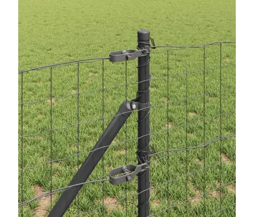 Eiro Žogs Ar 13 Stabiem 0.8X25 M Cinkots Tērauds Pelēks Vidaxl