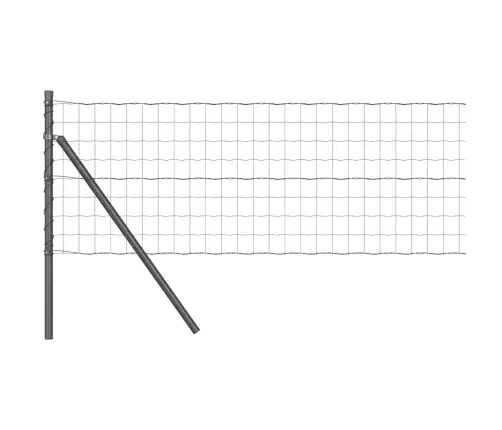 Eiro Žogs Ar 13 Stabiem 0.8X25 M Cinkots Tērauds Pelēks Vidaxl