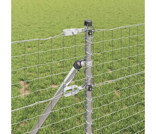 Eiro Žogs Ar 13 Stabiem 0.8X25 M Cinkota Tērauda Vidaxl