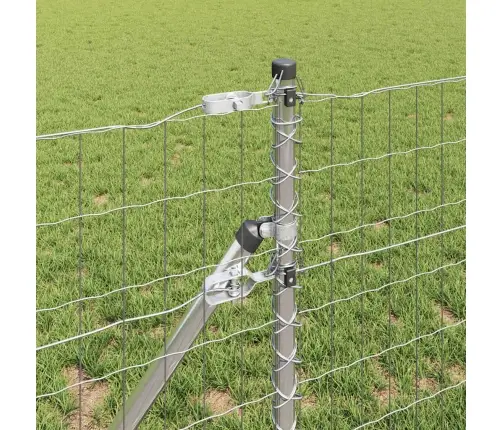 Eiro Žogs Ar 13 Stabiem 0.8X25 M Cinkots Tērauds Vidaxl