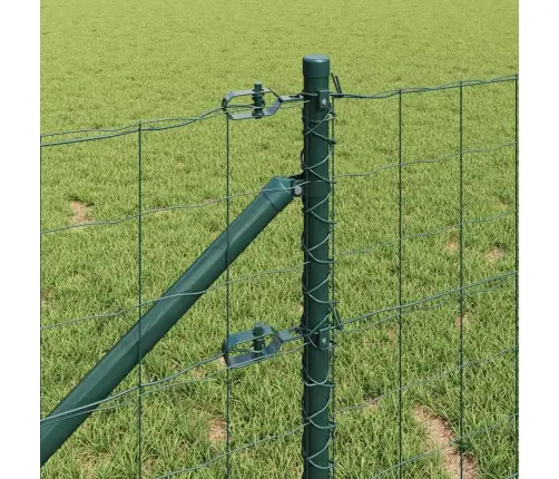 Eiro Žogs Ar 13 Naglu Stabiem 0.6X25 M Cinkots Tērauds Zaļš Vidaxl