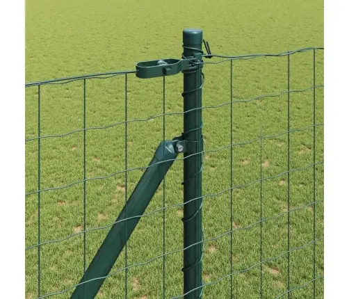 Euro Žogs Ar 7 Spīlēm 1.5X10 M Cinkots Tērauds Zaļš Vidaxl