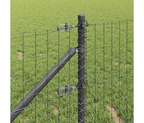 Eiropas Žogs Ar 7 Stabiem 0.8X10 M Cinkots Tērauds Pelēks Vidaxl