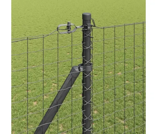 Aed Koos Postidega Hall 1.5 X 10 M Teras Aed Koos Postidega Hall 1.5 X 10 M Teras