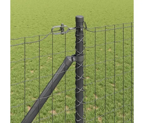 Eiropas Žogs Ar 7 Spicām Kājām 1.4X10 M Cinkota Metāla Pelēkā Krāsā Vidaxl