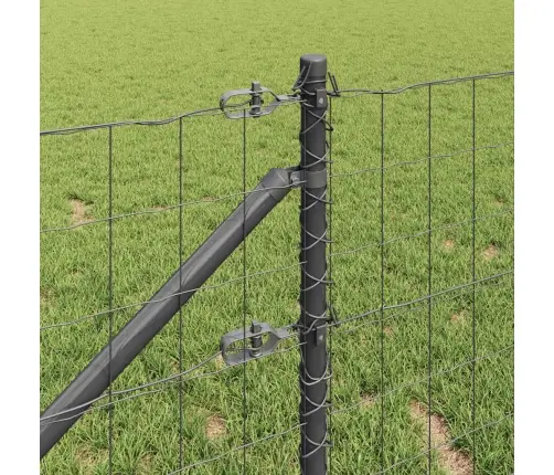 Eiropas Žogs Ar 7 Spikes Stabiem 0.8X10 M Cinkota Tērauda Pelēks Vidaxl