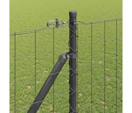 Euro Žogs Ar 7 Bultīm 1.5X10 M Galvanizētā Tērauda Pelēkā Krāsā Vidaxl