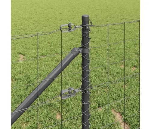 Eiro Žogs Ar 7 Spikes Stabiem 0.6X10 M Cinkots Tērauds Pelēks Vidaxl