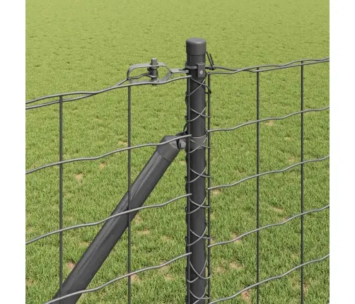 Eiropas Žogs Ar 7 Smailām Kājām 1.2X10 M Galvanizēts Tērauds Pelēks Vidaxl