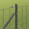Eiropas Žogs Ar 7 Smailām Kājām 1.2X10 M Galvanizēts Tērauds Pelēks Vidaxl