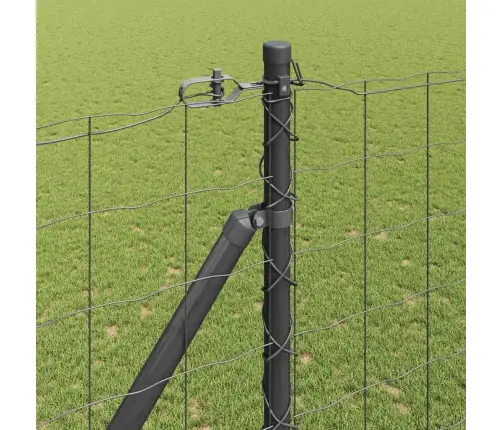 Eiropas Žogs Ar 7 Stabiem 1.6X10 M Cinkots Tērauds Pelēks Vidaxl