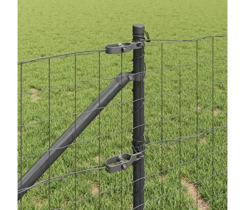 Eiropas Žogs Ar 13 Spiku Stabiem 0.6X50 M Cinkota Tērauda Pelēks Vidaxl