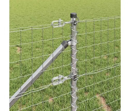 Aed Koos Postidega Hõbedane 1 X 10 M Teras