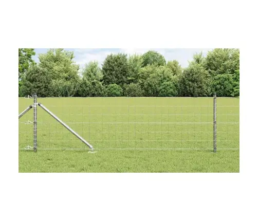 Aed Koos Postidega Hõbedane 0.6 X 10 M Teras