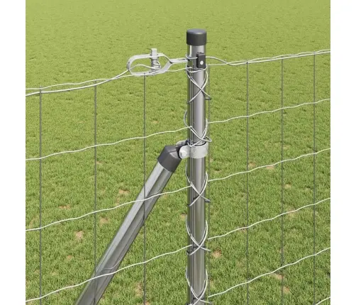 Aed Koos Postidega Hõbedane 1.6 X 10 M Teras