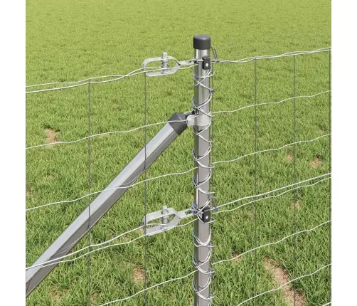 Euro Žogs Ar 7 Spike Postiem 0.8X10 M Cinkots Tērauds Vidaxl